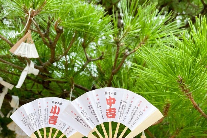 Kyoto Amanohashidate and Ine No Funaya Tour from Osaka — photo 5