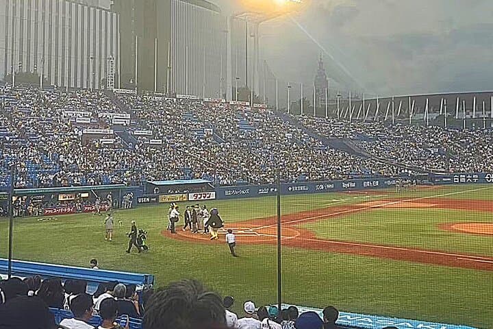 Tokyo Baseball Experience Tour with Expert English-Speaking Guide — photo 3