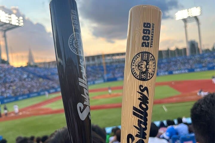 Tokyo Baseball Experience Tour with Expert English-Speaking Guide — photo 4