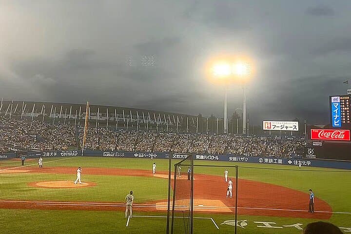 Tokyo Baseball Experience Tour with Expert English-Speaking Guide — photo 5