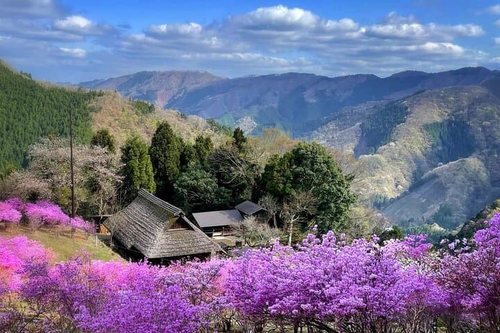 Discover Tokyo's Mountain Roots: History, Culture & Nature — photo 9