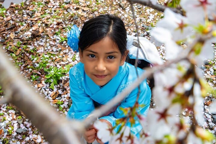 Sakura Season Photoshoot Experience in Kyoto — photo 10