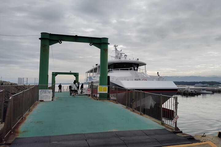 Ainoshima Island Tour - Cats, History and Nature from Hakata — photo 20