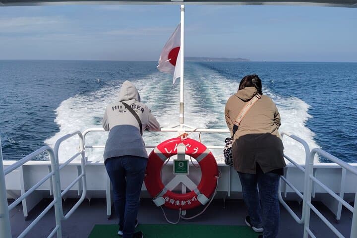 Ainoshima Island Private Cat Tour with Ferry Ride — photo 8
