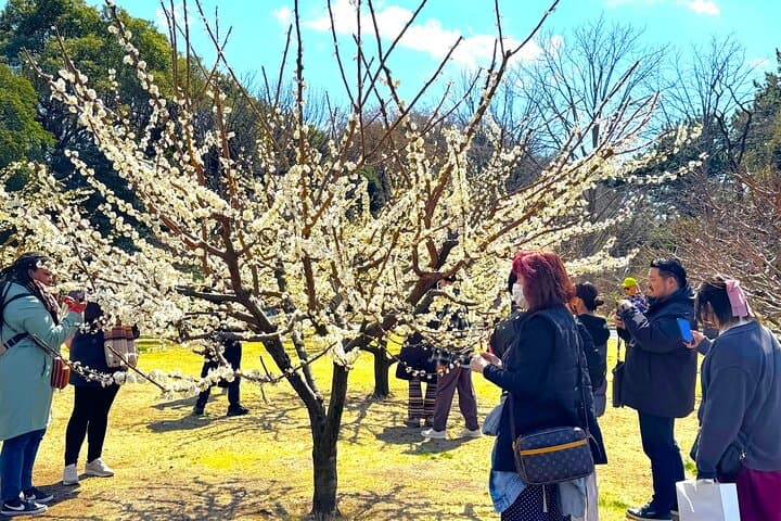 Tokyo: Edo Castle Ruins & Imperial Palace East Garden Guided Tour — photo 10
