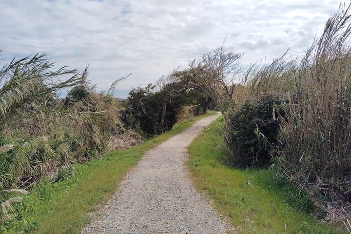 Ainoshima Island Tour - Cats, History and Nature from Hakata — photo 9