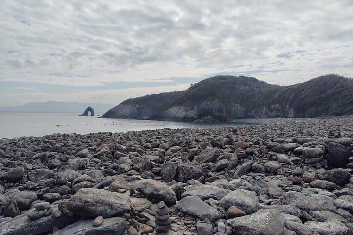 Ainoshima Island Cats Culture and Scenic Beauty Tour — photo 10