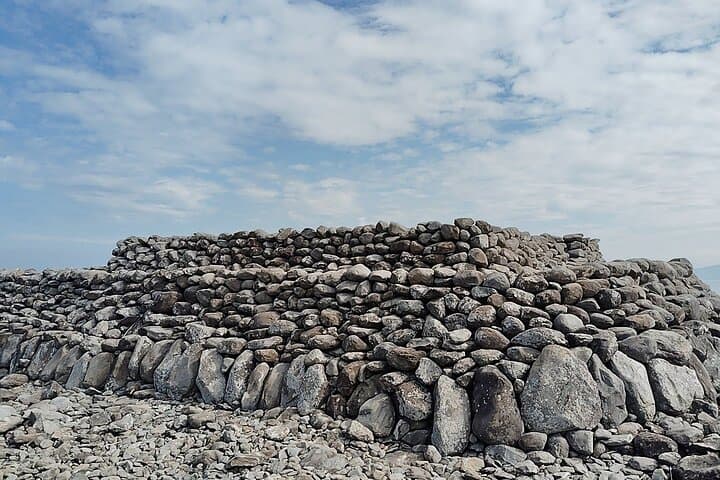 Ainoshima Island Tour - Cats, History and Nature from Hakata — photo 8