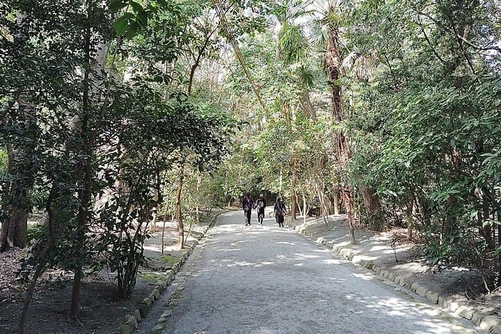 Fukuoka: Munakata Taisha Shrine Guided Tour – UNESCO Site — photo 4