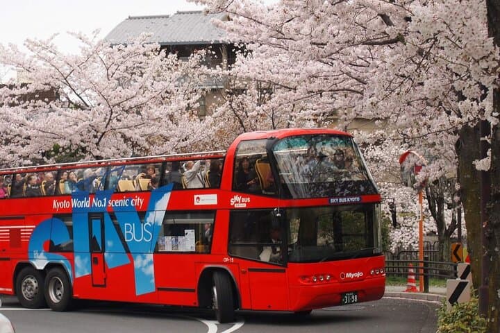 Kyoto Hop-On, Hop-Off Sightseeing Bus Tour — photo 4