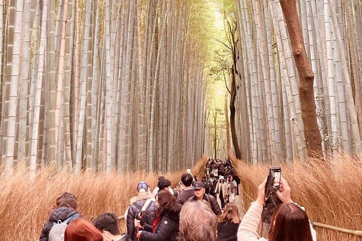 Kyoto Private & Customizable Tour with English-Speaking Driver — photo 4
