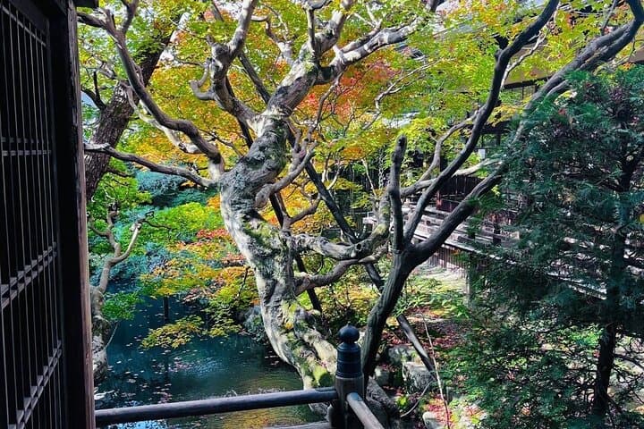 Kyoto Private & Customizable Tour with English-Speaking Driver — photo 14