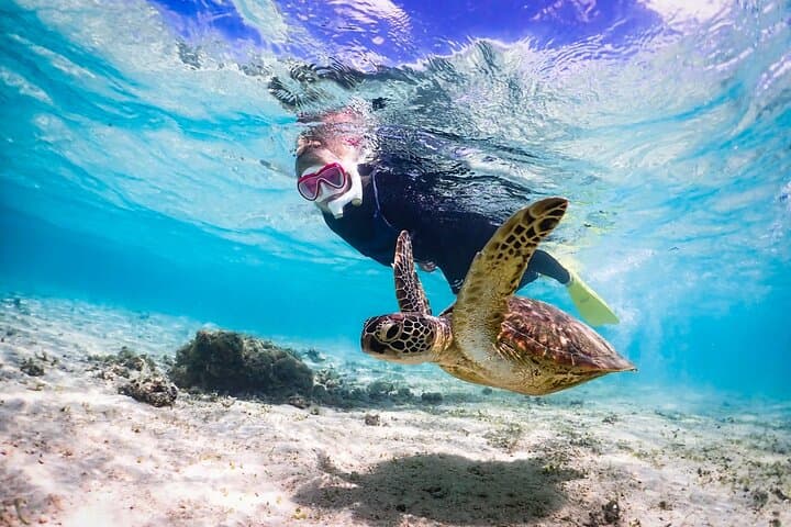 Okinawa Snorkeling Tour Experience — photo 2