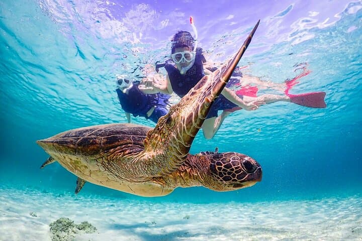 Okinawa Snorkeling Tour Experience — photo 6