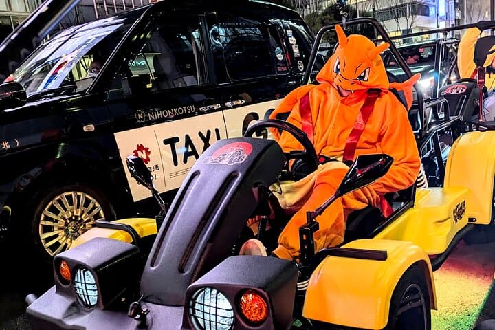 Go Kart Tokyo Spring Tour Experience — photo 6