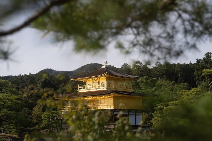 Kyoto Early Morning Tour with Korean Speaking Guide — photo 5