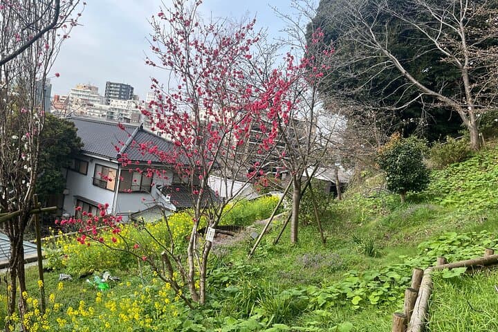 Historic Temple・traditional Japanese garden＆ Eating around at a shopping strip — photo 9