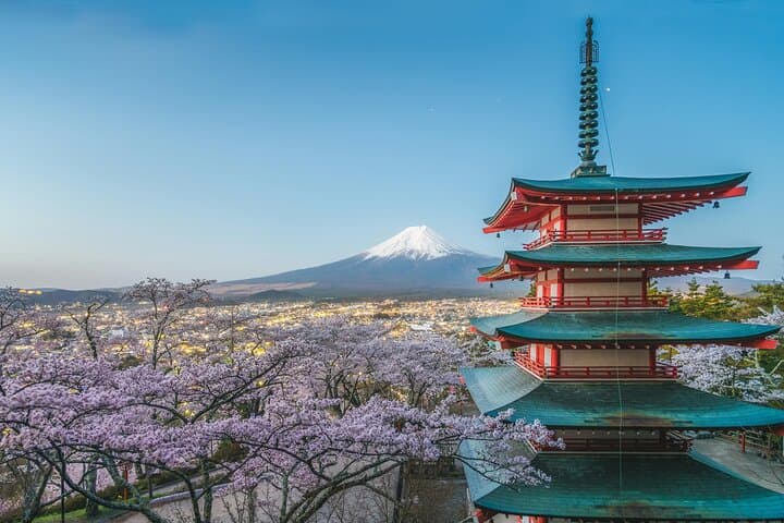 From Tokyo: Mt Fuji, Tea Ceremony and Gotemba Outlet Tour — photo 2