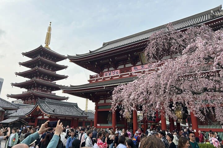Discover the hidden gems of Tokyo:Private Tour with a Local Guide — photo 7