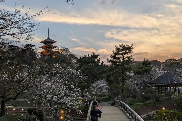 Guided History & Nature Exploration in the Yokohama Hill Area — photo 3