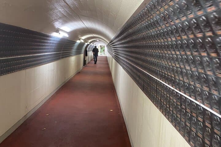 Fukuoka: Nanzoin Temple and Reclining Buddha Guided Tour — photo 15