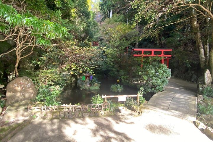 Fukuoka: Nanzoin Temple and Reclining Buddha Guided Tour — photo 16