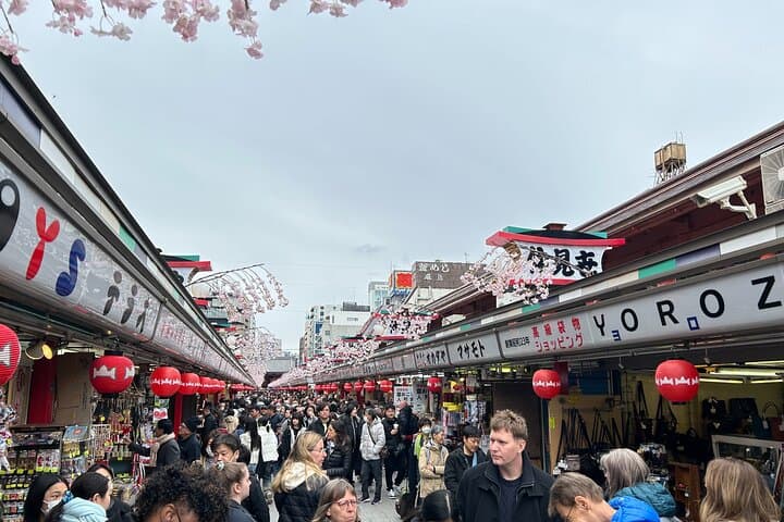 Discover the hidden gems of Tokyo:Private Tour with a Local Guide — photo 8