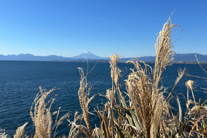 Private Kamakura Enoshima Tour from Tokyo w/ pickup & local guide — photo 7