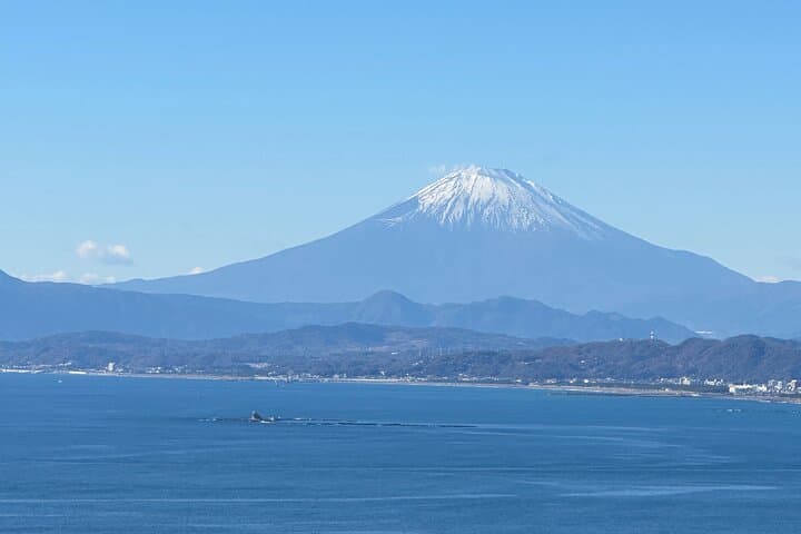 Private Kamakura Enoshima Tour from Tokyo w/ pickup & local guide — photo 10
