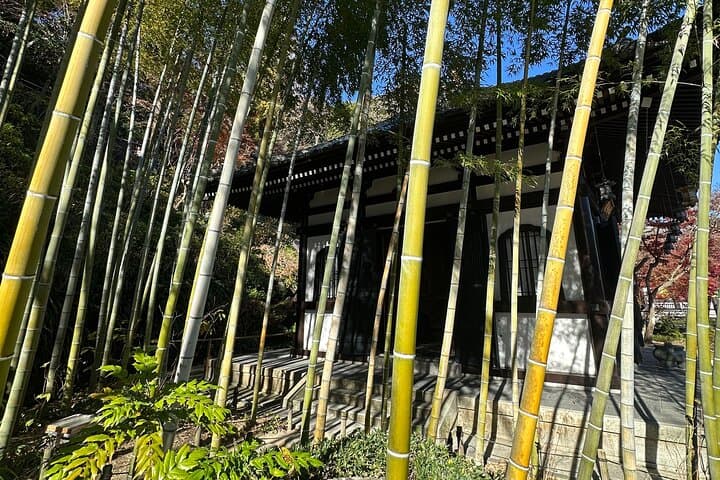 Private Kamakura Enoshima Tour from Tokyo w/ pickup & local guide — photo 12