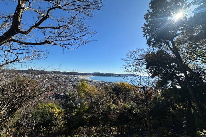 Private Kamakura Enoshima Tour from Tokyo w/ pickup & local guide — photo 13