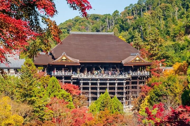 Osaka / Kyoto: Kinkaku-ji, Kiyomizu-dera Temple, Sannenzaka & Uji — photo 10
