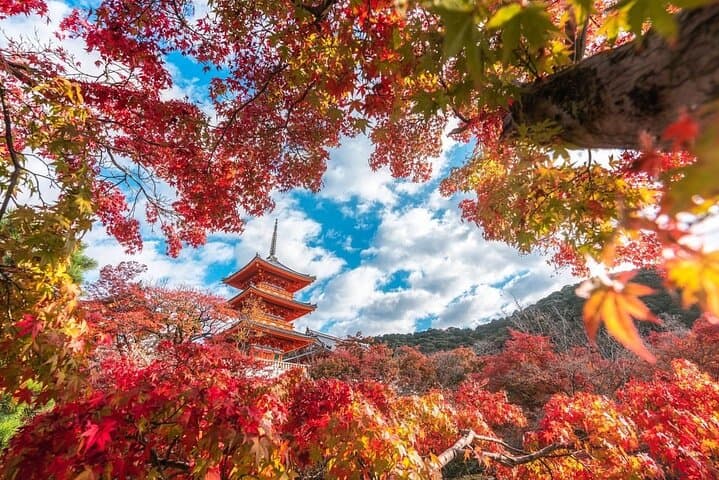 Osaka / Kyoto: Kinkaku-ji, Kiyomizu-dera Temple, Sannenzaka & Uji — photo 12