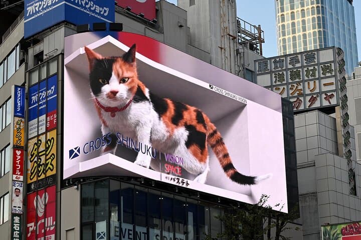 Shinjuku Highlights Walking Tour