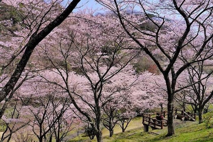 North Ibaraki Tour — photo 8
