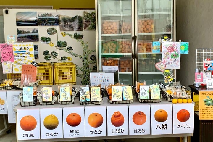 Shimanami Kaido, 1Day Relaxed Island Hopping Cycling Tour — photo 9