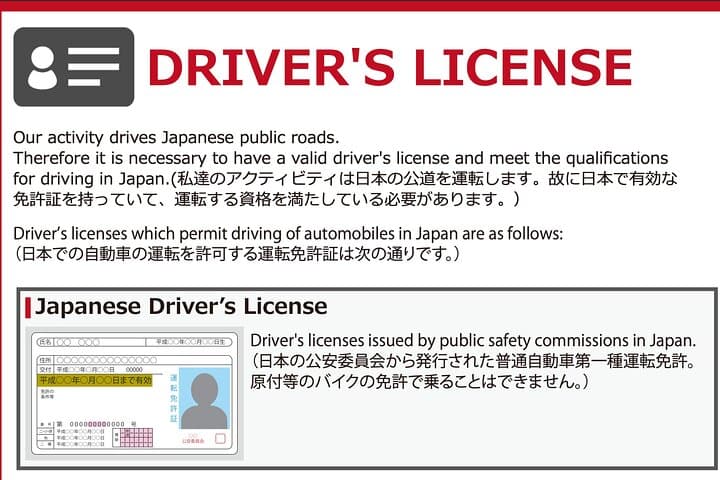 Akihabara: Go-Kart Experience with Local Guide in Tokyo — photo 12