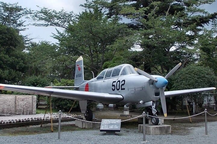 Private Day Tour in Kagoshima — photo 2