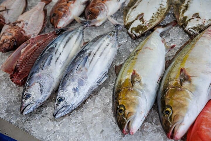 Local fresh fish shop premium backyard experience — photo 2