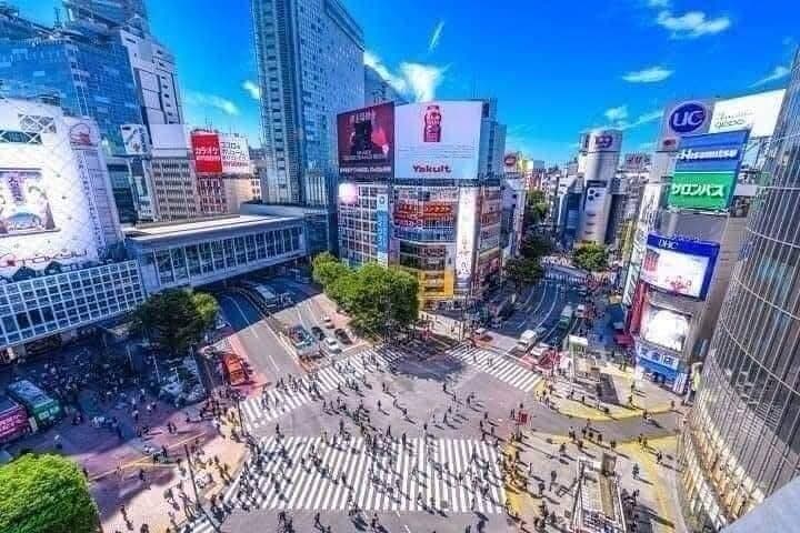 Best of Tokyo Private Tour English Driver &Customizable Itinerary — photo 1