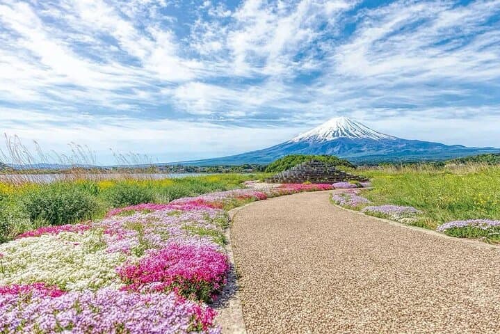 Mt fuji & Hakone customizable day tour w/ English speaking driver — photo 7