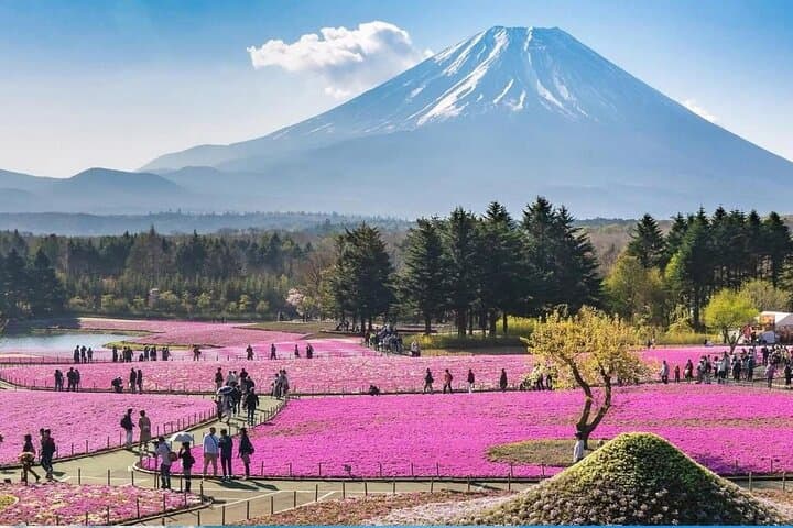 Mt fuji & Hakone customizable day tour w/ English speaking driver — photo 8