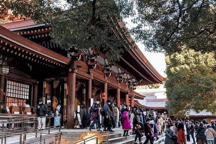 Best of Tokyo Private Tour English Driver &Customizable Itinerary — photo 15
