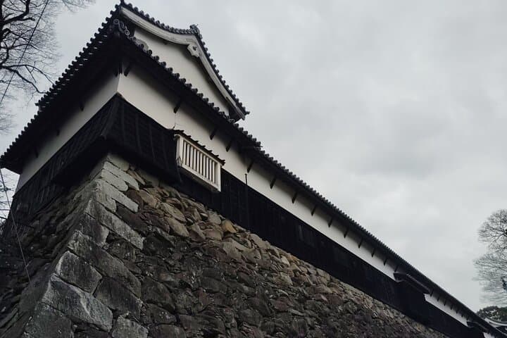 Fukuoka: Fukuoka Castle and Ohori Park Guided Tour — photo 3
