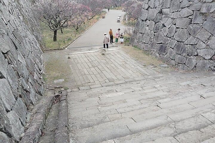 Fukuoka: Fukuoka Castle and Ohori Park Guided Tour — photo 10