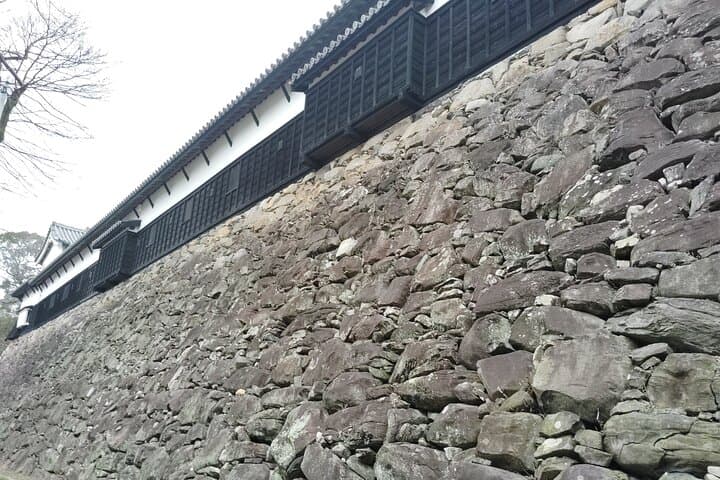 Fukuoka: Fukuoka Castle and Ohori Park Guided Tour — photo 17