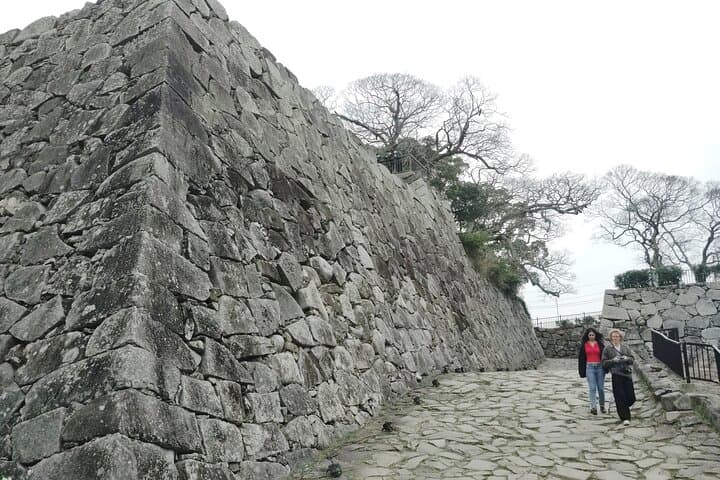 Fukuoka: Fukuoka Castle and Ohori Park Guided Tour — photo 15