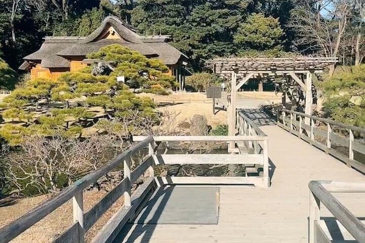 Tsukiji Food Strolling and Hama Rikyu Garden Walking Tour — photo 15