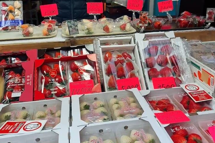 Tsukiji Food Strolling and Hama Rikyu Garden Walking Tour — photo 6