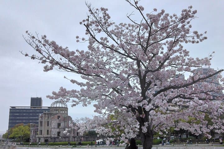 Hiroshima Cruise Pickup : Miyajima & Peace Park Tour with car — photo 16